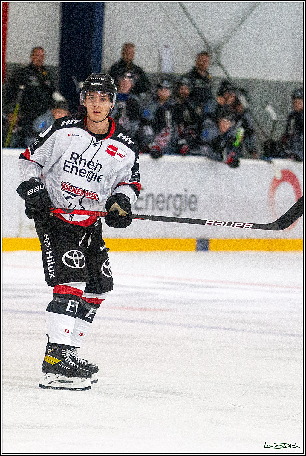 PENNY DEL;  Koelner Haie - Aalborg Pirates; Koeln, 21.08.2021